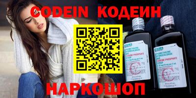 apvp Кингисепп