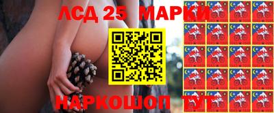 тгк Кимры
