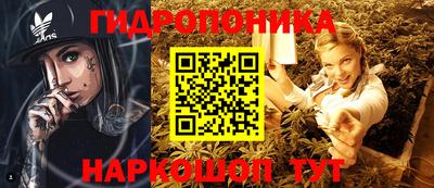apvp Кингисепп
