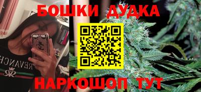 apvp Кингисепп