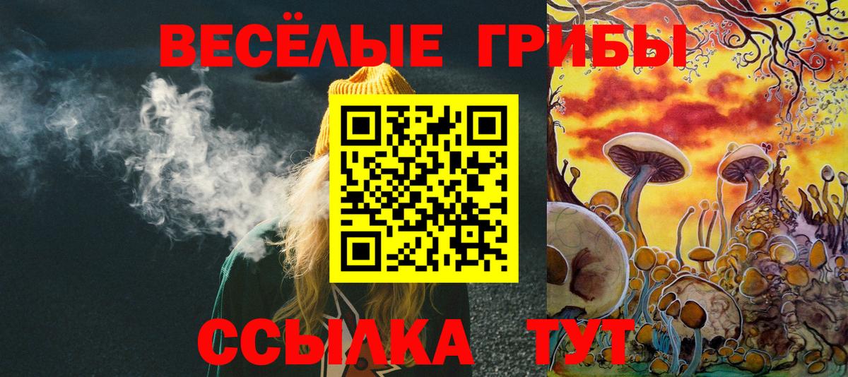 Псилоцибиновые грибы Cubensis  Вход с VPN  Кушва 