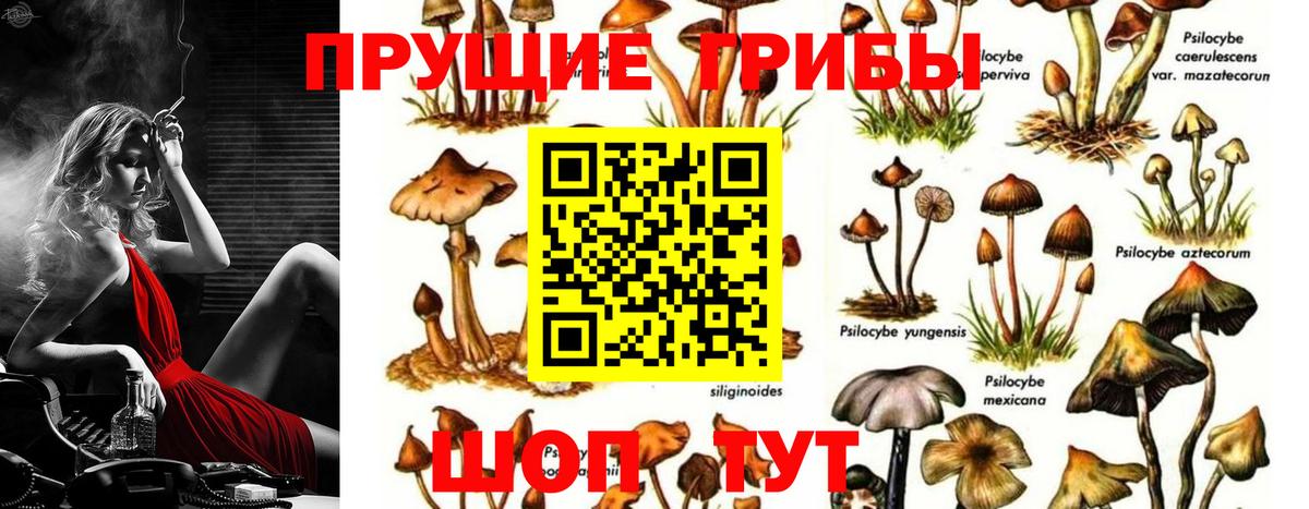 Псилоцибиновые грибы ЛСД Кушва